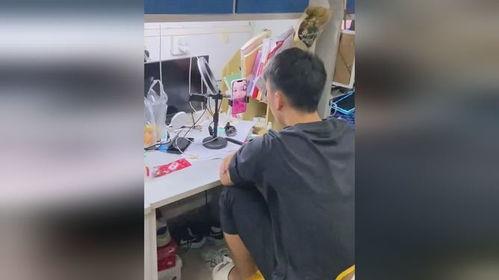 吃瓜视频男友寝室,男友寝室里的那些秘密