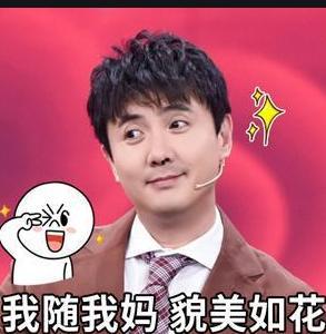 沈腾采访吃瓜视频大全集