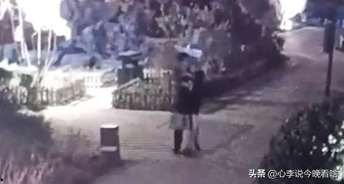 合肥本地吃瓜事件视频曝光,揭秘背后真相