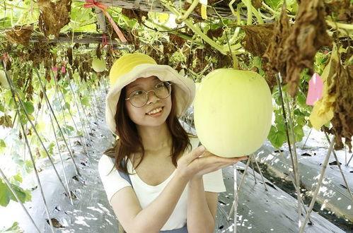 佛山吃瓜小视频,揭秘当地美食文化