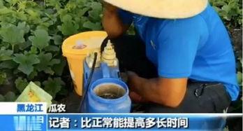 郑州疫情吃瓜视频曝光