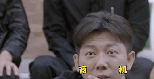 吃瓜老板歌曲视频,揭秘娱乐圈背后的瓜田秘事