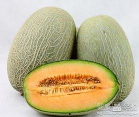 兔子吃哈密瓜行吗视频