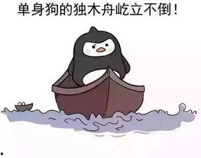 单身狗吃瓜暴击视频,笑料横飞揭秘娱乐圈幕后真相