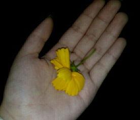 吃瓜群众降价视频大全