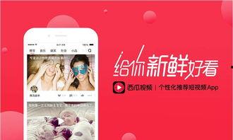 吃瓜头条抽奖视频,惊喜连连等你来